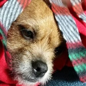 Meet your Posher, Susan